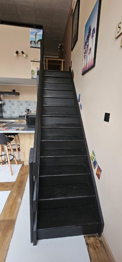 T2 Duplex Chez Lelie Home リモージュ エクステリア 写真